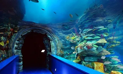 Sharjah Museum & Aquarium, Al Khan