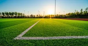 ملاعب كرة القدم