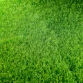Artificial Turf