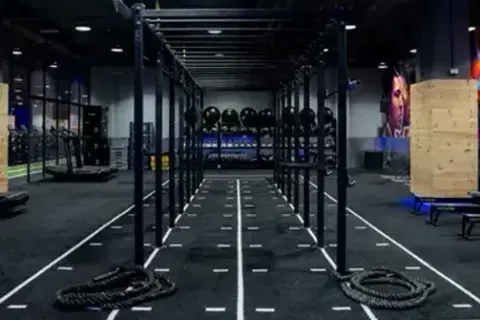 العشب الصناعي 5